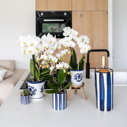 Pot Kolibri Home I Malaga - Bleu - Ø9cm