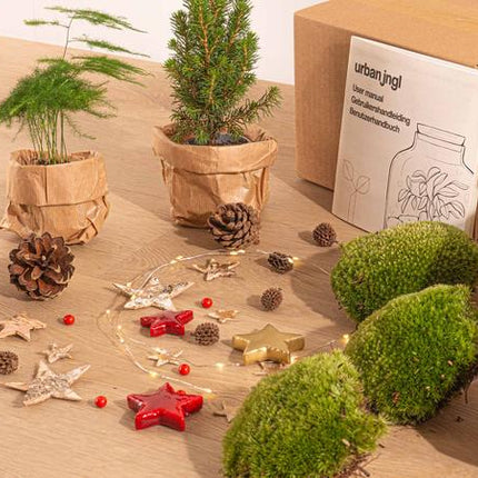 Plant Terrarium Kit - Mini Christmas Tree - 3 Plants - Refill & Starter Kit - DIY Christmas