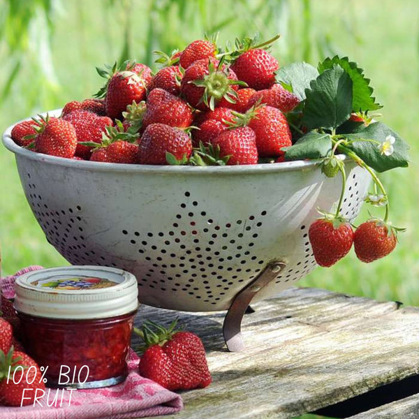 Aardbeien planten set - Biologisch - 3x