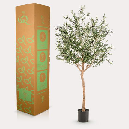 Sztuczne drzewo oliwne - Olea europaea - Drzewo oliwne - ↕180cm - Ø15cm