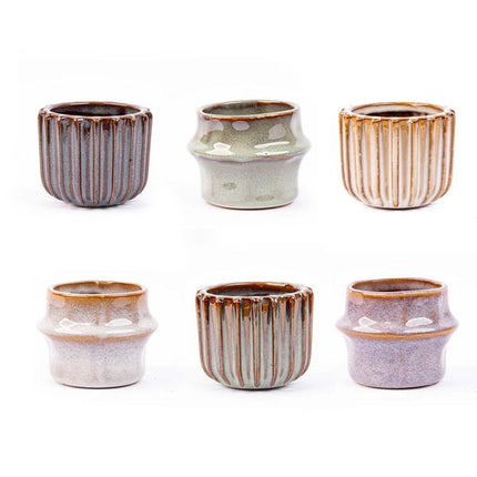 Mini planten set 6 - Inclusief 6x pot set Barcelona