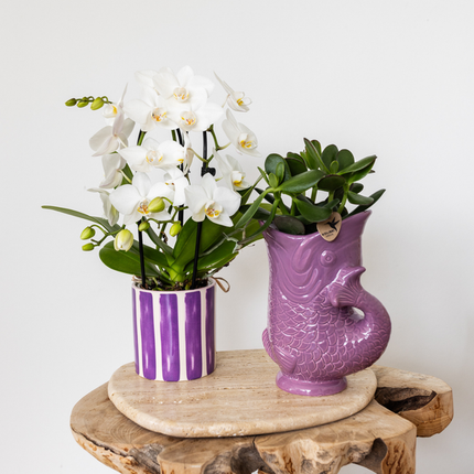Kolibri Home | Ryba - Liliowy - Ø9 cm