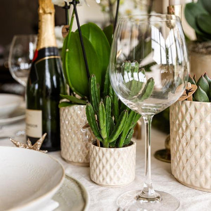 Set of plants + decorative pots for dinner table setting - Ø9cm & Ø6cm | flowering houseplants