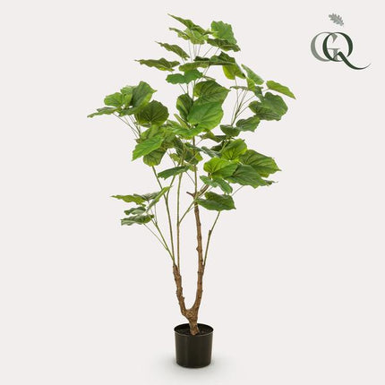 Artificial plant Ficus umbellate - African fig - ↕125cm