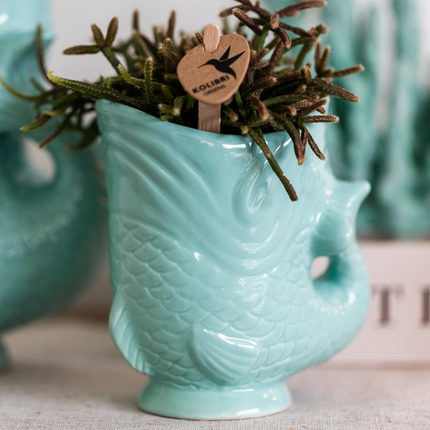 Kolibri Home | Ryba - Turkusowy - Ø6 cm