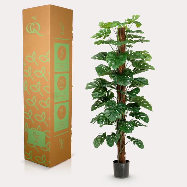 Monstera Deliciosa - kunstplant - ↕180cm - Ø17cm