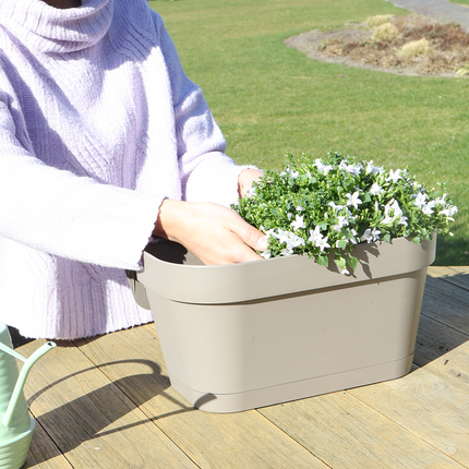 Campanula Addenda Ambella bianca - Fioriera da balcone color tortora con 3 campanule Ø12cm - Sistema di sospensione incluso - Campanula bianca