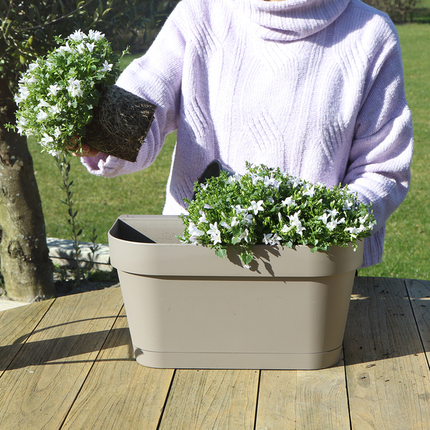 Campanula Addenda Ambella bianca - Fioriera da balcone color tortora con 3 campanule Ø12cm - Sistema di sospensione incluso - Campanula bianca