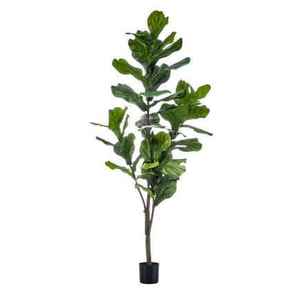 Kunstplant Ficus Lyrata - Tabaksplant - ↕150cm