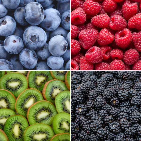 Fruitplanten mix Biologisch - set van 4 verschillende soorten "Zomervruchten"