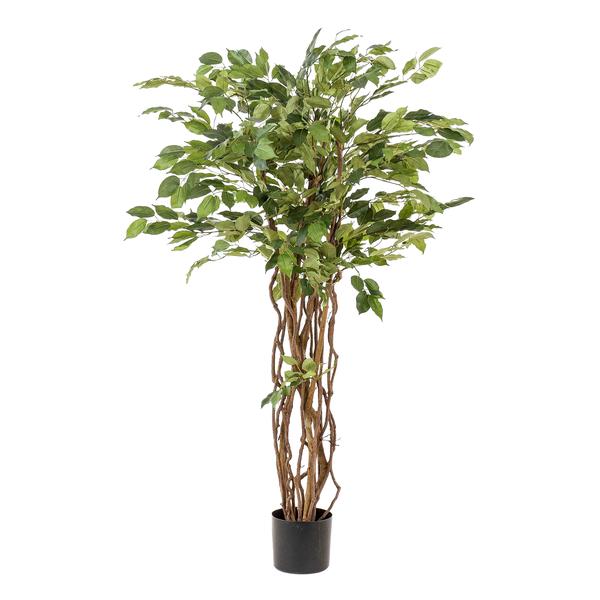 Kunstplant - Ficus liana  - Vioolbladplant - ↕140cm