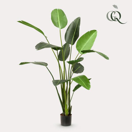 Sztuczna roślina Strelitzia Nicolai - Kwiat rajskiego ptaka - ↕230cm - Ø17cm