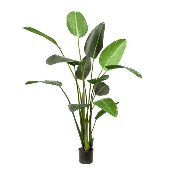 Kunstplant - Strelitzia Nicolai - Paradijsvogelbloem - ↕230cm - Ø17cm