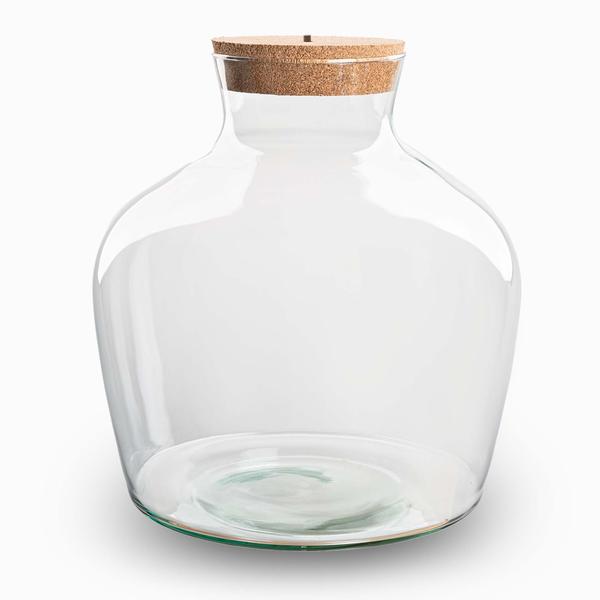 Terrariumflasche mit Korken – Fat Joe + LED-Korken – Geschlossenes Terrarium ↑ 30 cm