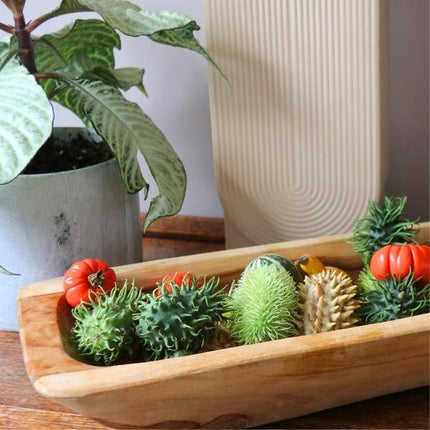 Pudełko prezentowe Decofruit - Ø2-5cm