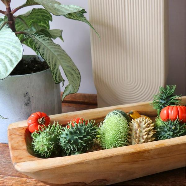 Decofruit Giftbox - Ø2-5cm