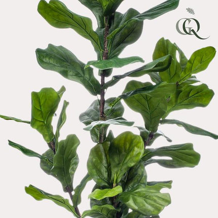 Kunstplant Ficus Lyrata - Tabaksplant - ↕150cm