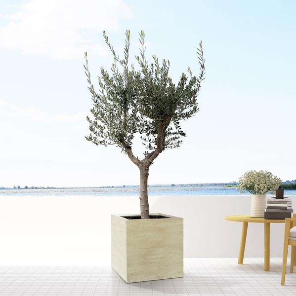 Block Beige Washed - M - D40xH40 - Pottery Pots | Betonlook Plantenbak