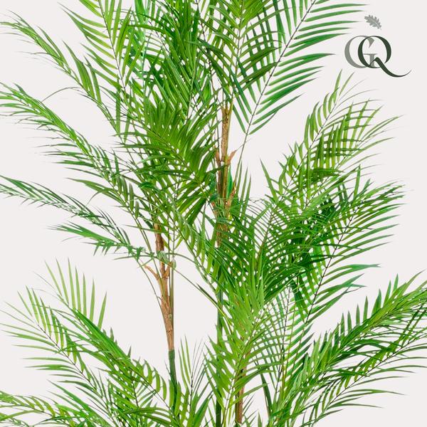 Kunstplant - Chamaedorea Elegans - Bergpalm - ↕180cm - Ø14cm