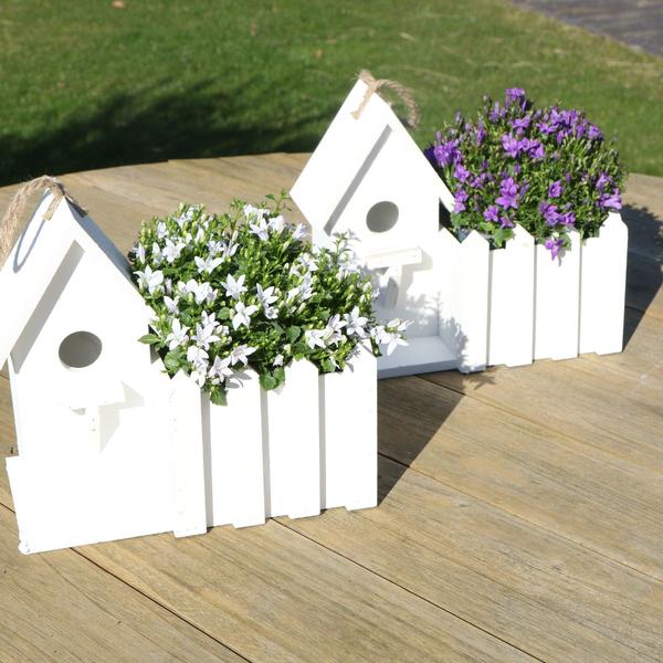Campanula Addenda Ambella white | Klokjesbloem wit in houten sierpot / vogelhuisje - Ø12cm - vaste plant - winterhard