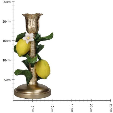 Bougeoir avec citronnier - ↑ 22 cm