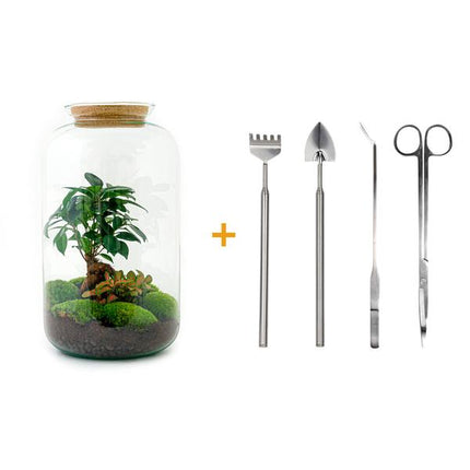 Terrarium DIY - Sven Bonsai - ↕43 cm - Grabie + Łopata + Pęseta + Nożyczki