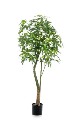 Sztuczna roślina Pachira Aquatica - Drzewko pieniędzy - ↕180cm - Ø15cm