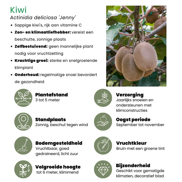 Fruitplanten mix Biologisch - set van 4 verschillende soorten "Zomervruchten"