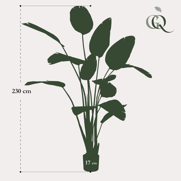 Kunstplant - Strelitzia Nicolai - Paradijsvogelbloem - ↕230cm - Ø17cm