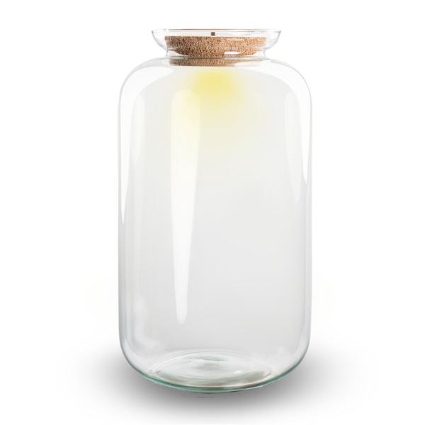 Terrariumflasche mit Beleuchtung im Korken - Modell: Sven XL - ↑ 43 cm