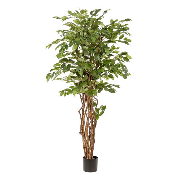 Kunstplant - Ficus liana  - Vioolbladplant - ↕170cm