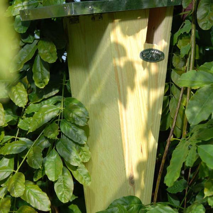 Nichoir pour grimpereau des jardins - Boîte à nid - Animaux de jardin