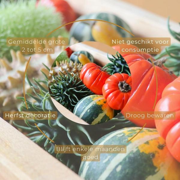 Decofruit Giftbox - Ø2-5cm