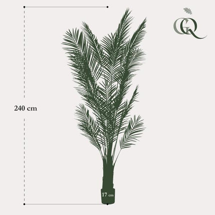Rośliny sztuczne - Areca Lutescens - Złota Palma - ↕240cm - Ø17cm