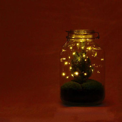 DIY-terrarium - Jul i burk - ↕28cm
