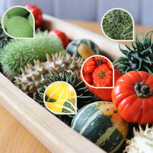 Decofruit Giftbox - Ø2-5cm