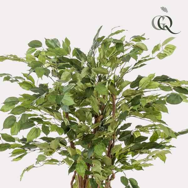 Kunstplant - Ficus liana  - Vioolbladplant - ↕140cm