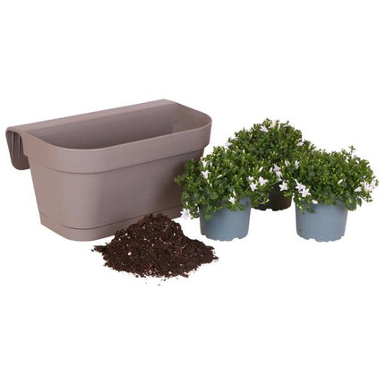 Campanula Addenda Ambella bianca - Fioriera da balcone color tortora con 3 campanule Ø12cm - Sistema di sospensione incluso - Campanula bianca