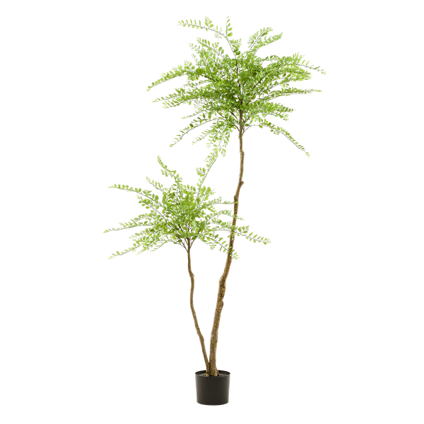 Kunstplant Sophora tree  - Honingboom - 190cm