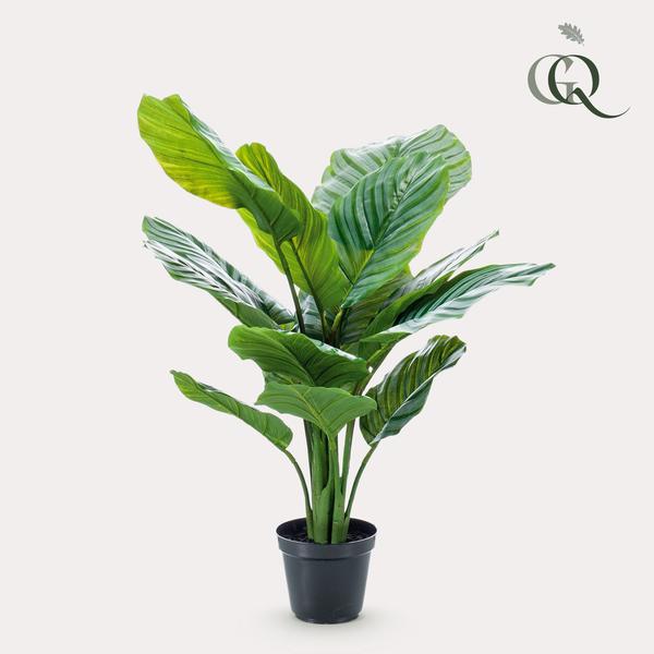 Kunstplant - Calathea Orbifolia - Schaduwplant - ↕65cm - Ø14cm