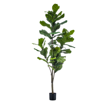 Kunstplant Ficus Lyrata - Tabaksplant - ↕150cm