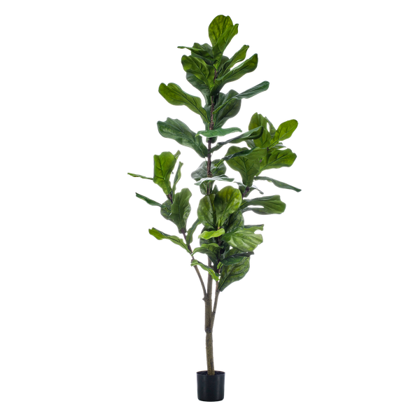 Kunstplant - Ficus Lyrata  - Tabaksplant - ↕150cm
