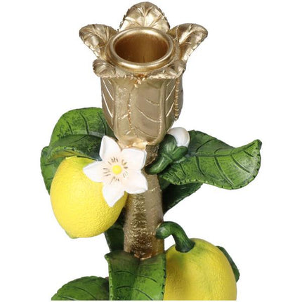 Bougeoir avec citronnier - ↑ 22 cm