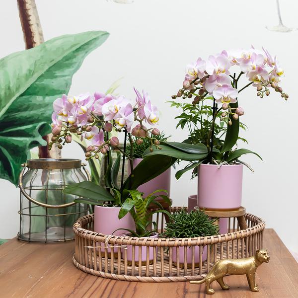 Kolibri Home | Gold foot pink bloempot - Roze keramieken sierpot met gouden rand - Ø12cm