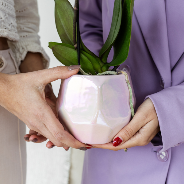 Maceta Kolibri Home I Pearl - Rosa - Ø9cm