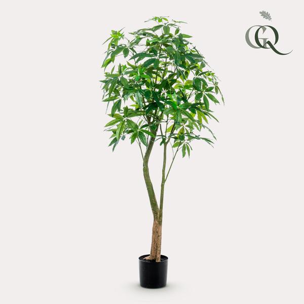 Kunstplant - Pachira Aquatica - Geldboom - ↕180cm - Ø15cm