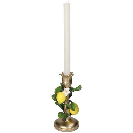 Bougeoir avec citronnier - ↑ 22 cm