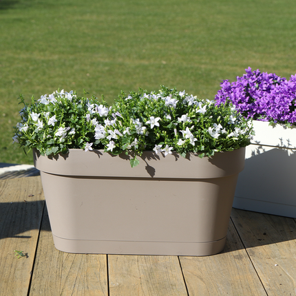 Campanula Addenda Ambella bianca - Fioriera da balcone color tortora con 3 campanule Ø12cm - Sistema di sospensione incluso - Campanula bianca