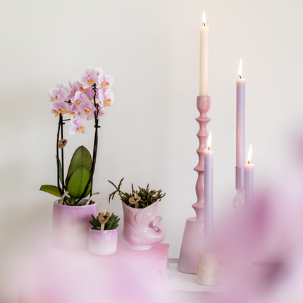 Kolibri Home | Fish - Pink - Ø6cm