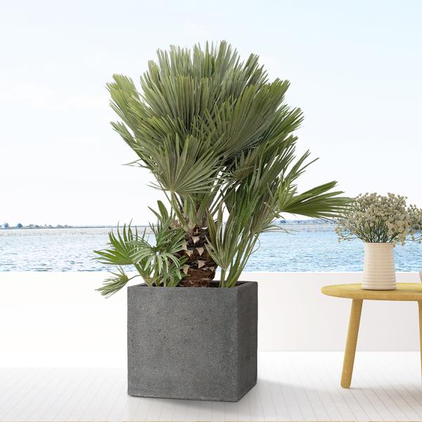 Block Laterite Grey - D40xH40 - Pottery Pots | Betonlook Plantenbak